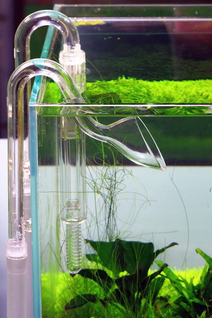Aquarium Lily Pipe water surface skimmer remove oil film planted tank